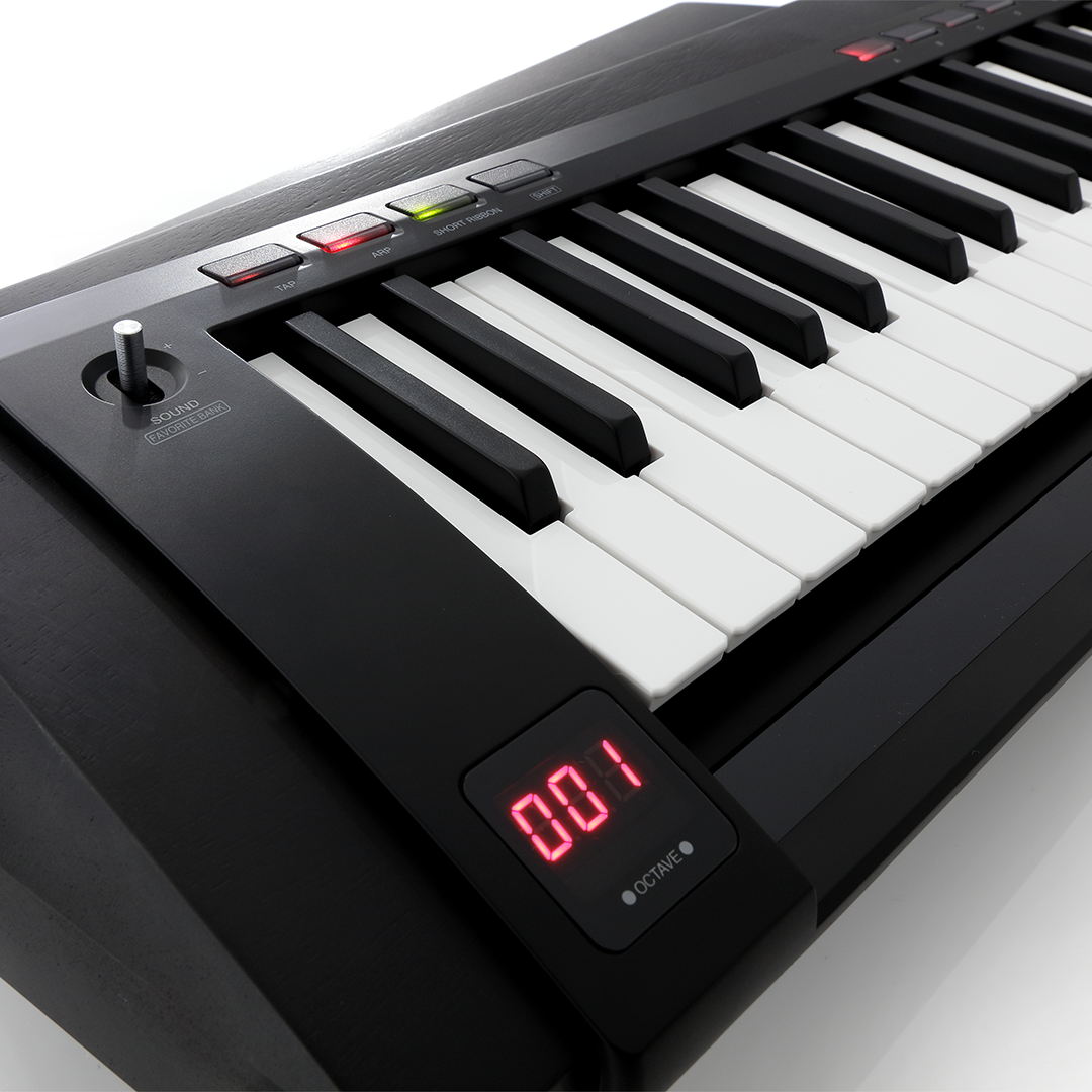 Korg RK-100S 2 Black